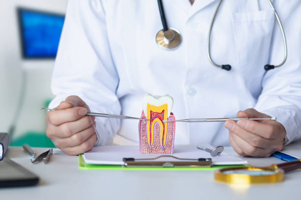 Best Emergency Dental Care for Trauma or Injury in Columbus, MS